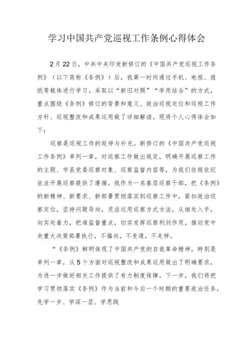 民警学习中国共产党巡视工作条例个人心得体会 合计6份.docx