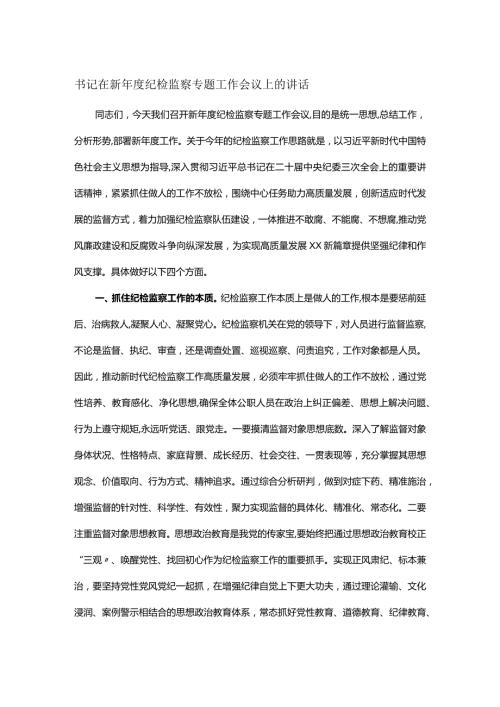 书记在新纪检监察专题工作会议上的讲话.docx