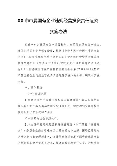 XX市市属国有企业违规经营投资责任追究实施办法.docx