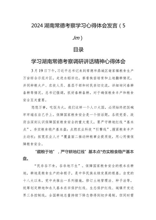 湖南考察调研讲话心得体会发言（5篇）.docx