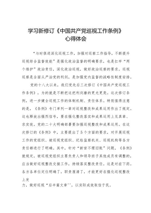 2024新修订中国共产党巡视工作条例学习心得体会(十三篇).docx