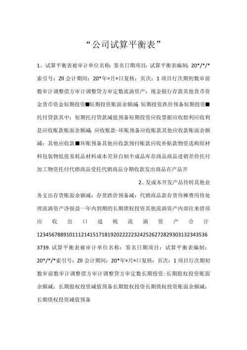 公司试算平衡表.docx