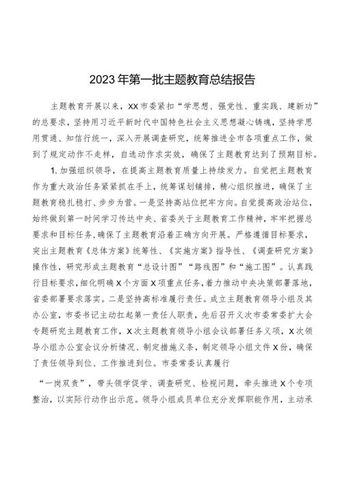 2023年第一批主题教育总结报告3篇.docx