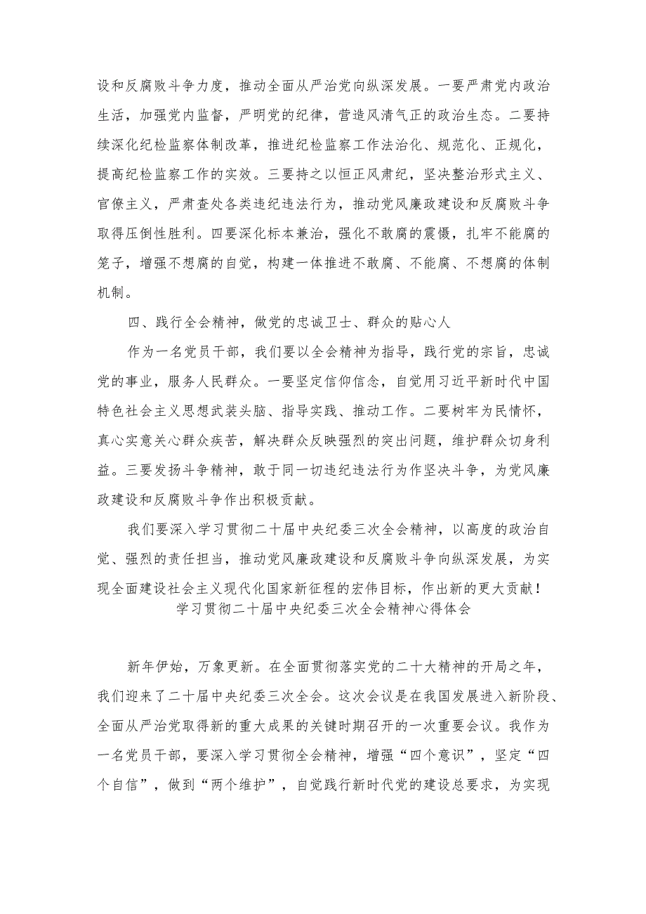 （4篇范文）学习践行在二十中央纪委三次全会上重要讲话心得体会.docx_第2页