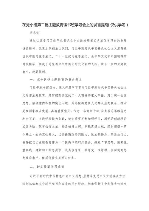 在党小组第二批主题教育读书班学习会上的发言提纲.docx
