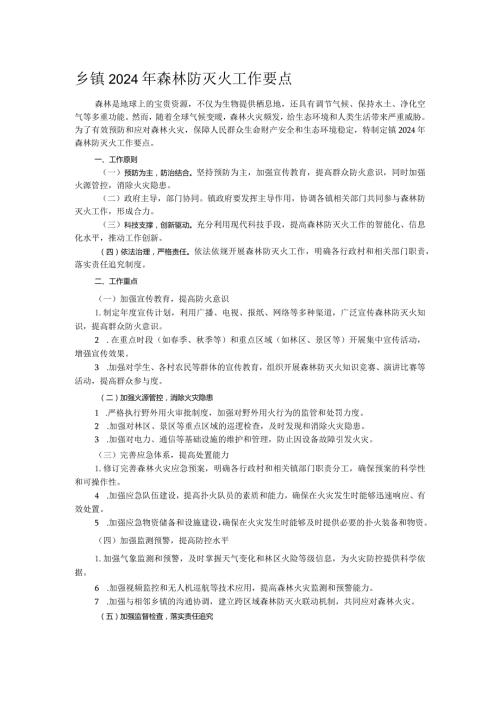 乡镇2024年森林防灭火工作要点.docx