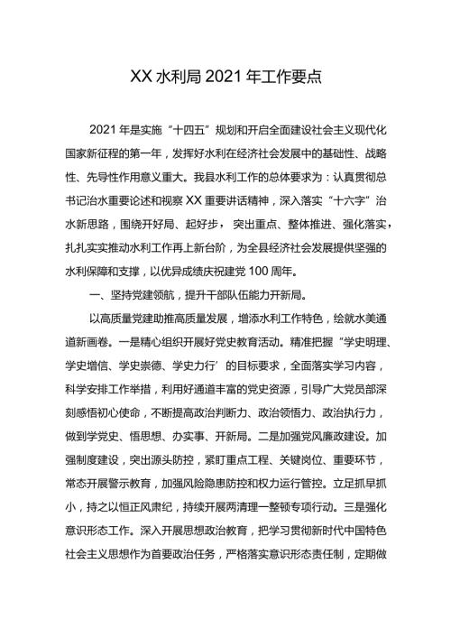 XX水利局2021年工作要点.docx