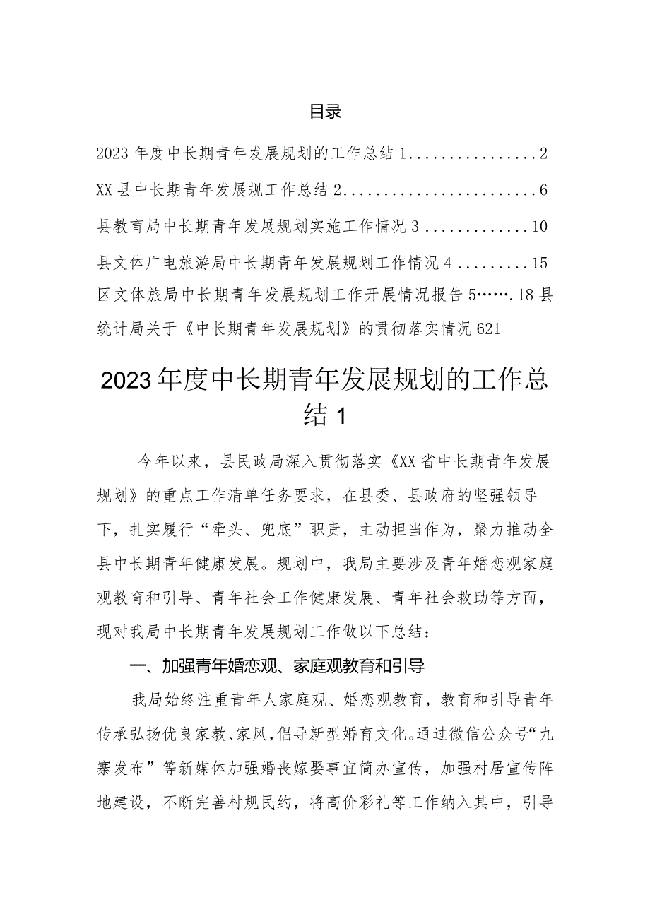 2023中长期青年发展规划工作汇报总结（6篇）.docx_第1页