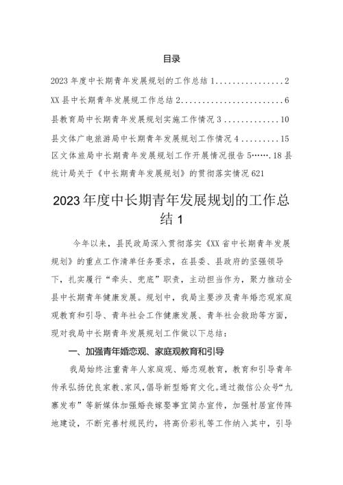 2023中长期青年发展规划工作汇报总结（6篇）.docx