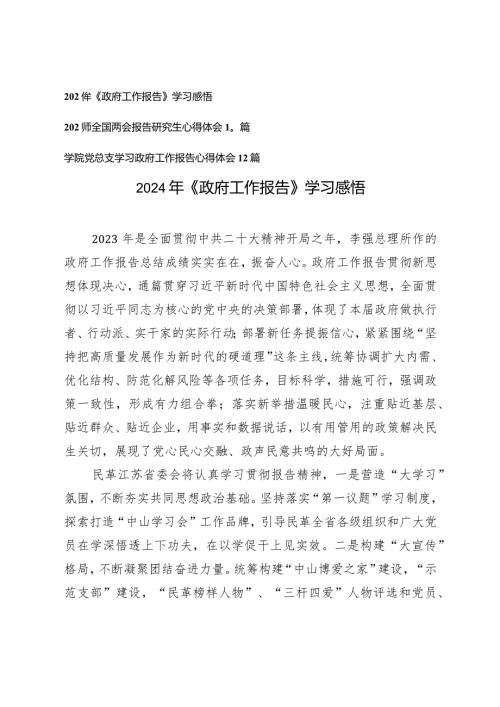 （20篇）2024年《政府工作报告》学习感悟心得体会.docx