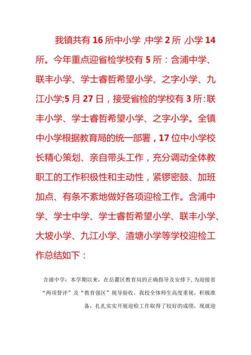 镇中小学两项督评迎省检工作总结.docx