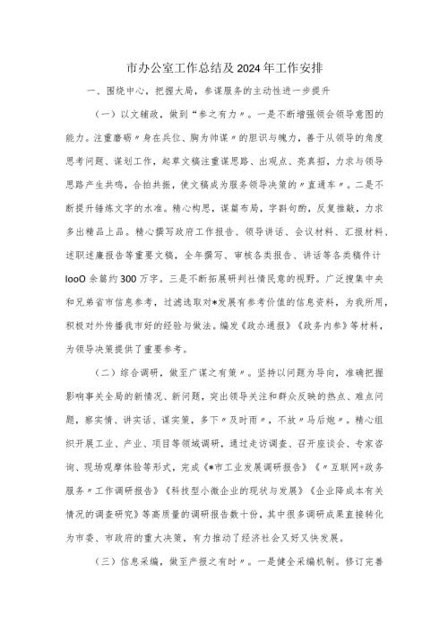 市办公室工作总结及2024年工作安排.docx