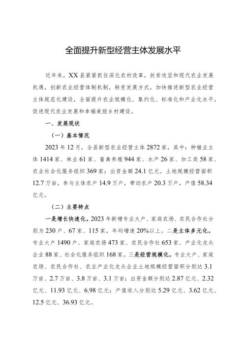 全面提升新型经营主体发展水平.docx