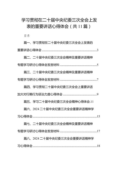 2024学习贯彻在二十中央纪委三次全会上发表的重要讲话心得体会11篇（精选版）.docx