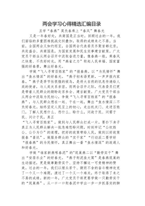 两会学习心得体会发言10篇.docx