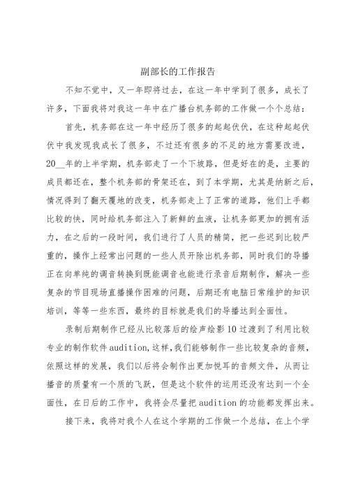 副部长的工作报告.docx