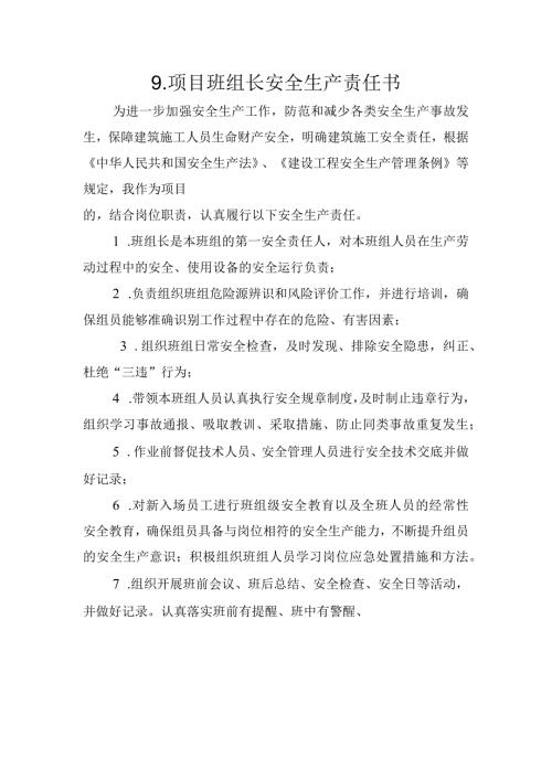 9.建筑施工企业项目班组长安全生产责任书（2024版参考范本）.docx