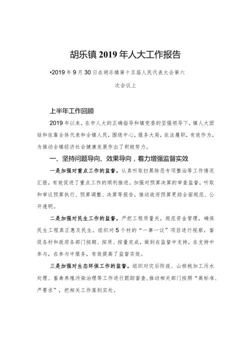 胡乐镇人大工作报告.docx
