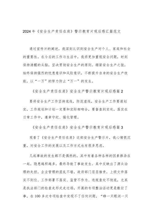 2024年《安全生产责任在肩》警示教育片观后感汇篇范文.docx