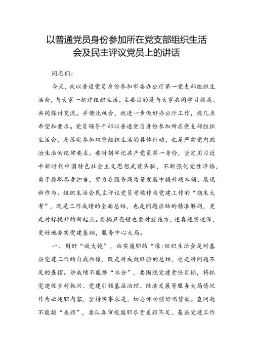 以普通党员身份参加所在党支部组织生活会及民主评议党员上的讲话(2).docx