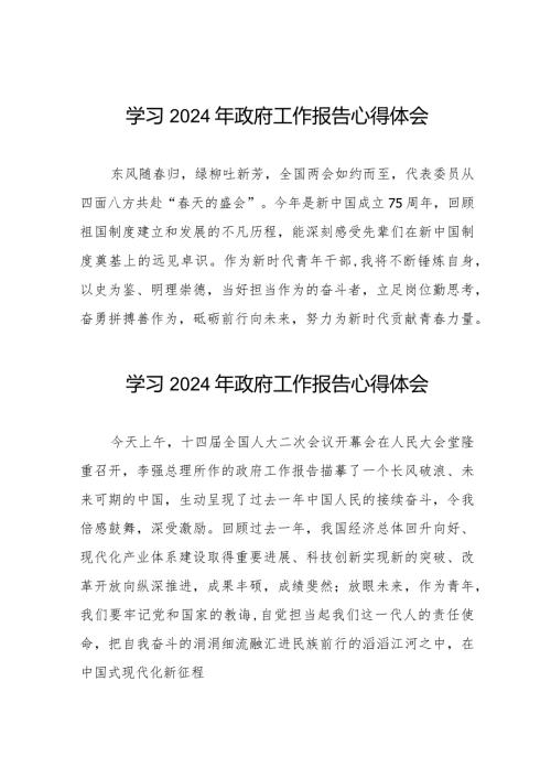 青年干部学习2024年政府工作报告心得体会六十篇.docx