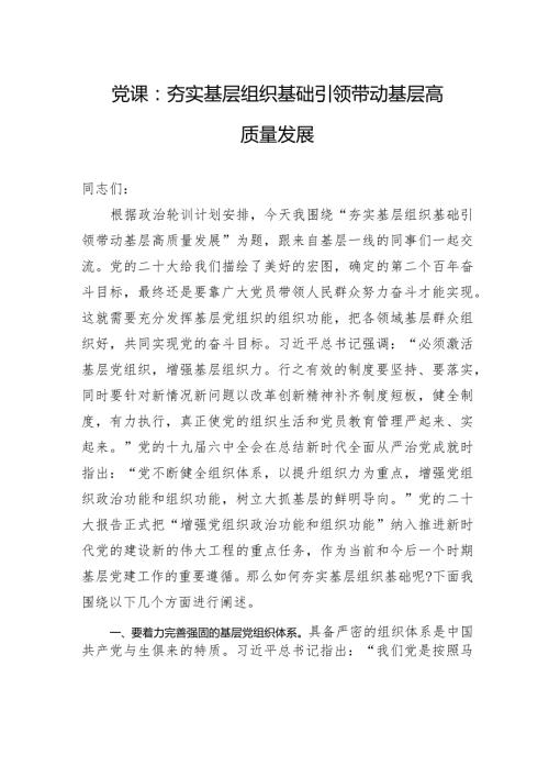 党课：夯实基层组织基础+引领带动基层高质量发展.docx