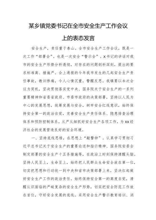 某乡镇党委书记在全市安全生产工作会议上的表态发言.docx