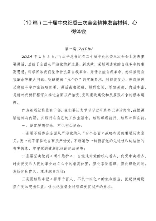 （10篇）二十中央纪委三次全会精神发言材料、心得体会.docx