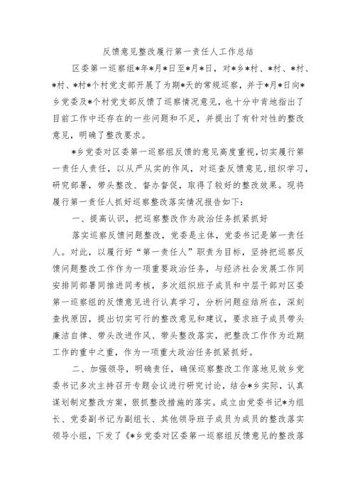反馈意见整改履行第一责任人工作总结.docx