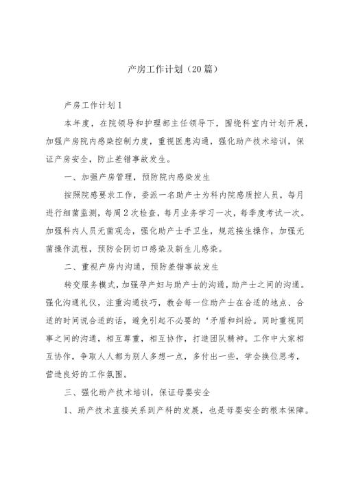 产房工作计划（20篇）.docx