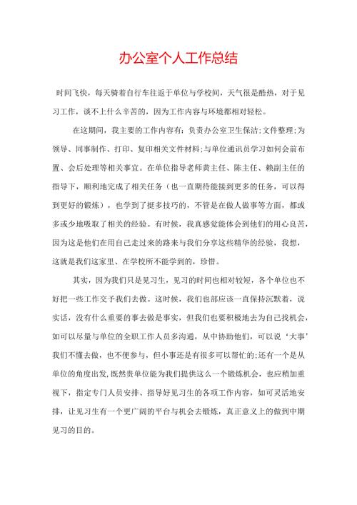政府办公室个人工作总结.docx