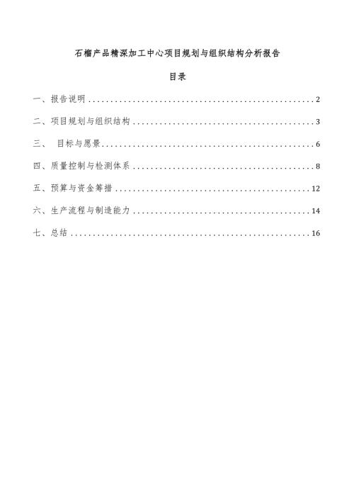 石榴产品精深加工中心项目规划与组织结构分析报告.docx