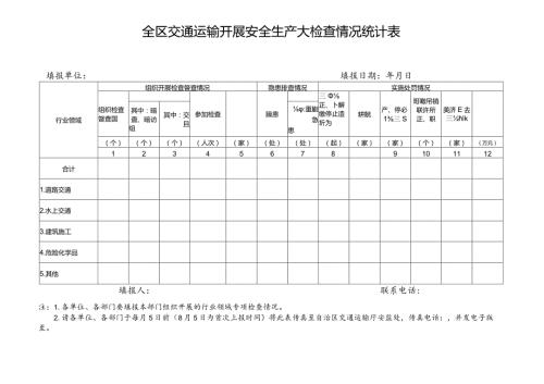 全区交通运输开展安全生产大检查情况统计表.docx