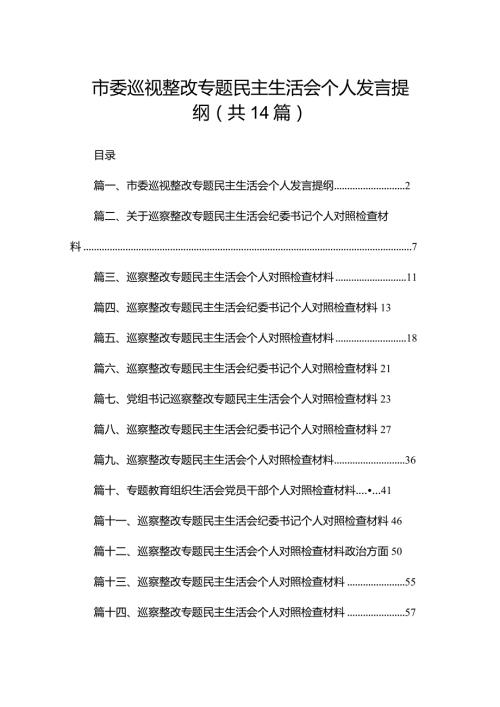 市委巡视整改专题民主生活会个人发言提纲（共14篇）.docx