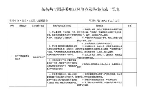 某某共青团县委廉政风险点及防控措施一览表.docx