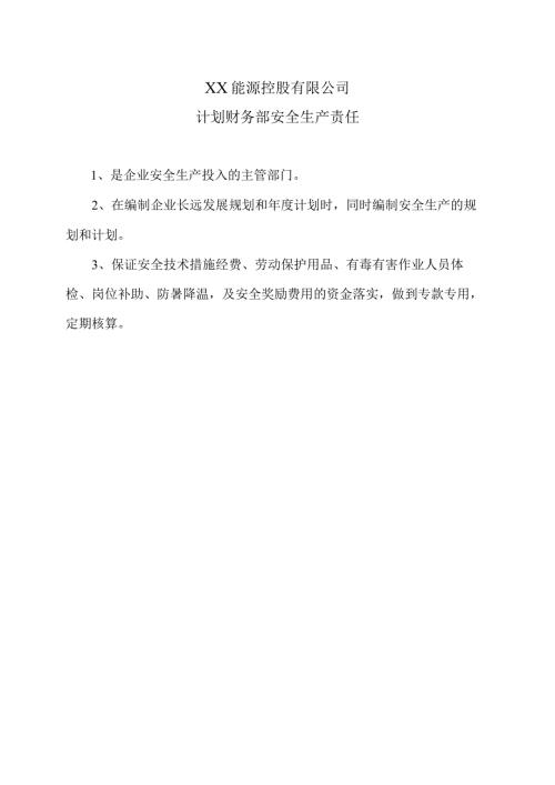 XX能源控股有限公司计划财务部安全生产责任（2023年）.docx