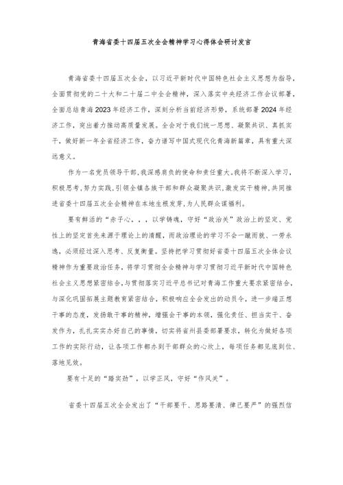 2024年党员领导干部青海省委十四五次全会精神学习心得体会研讨发言.docx