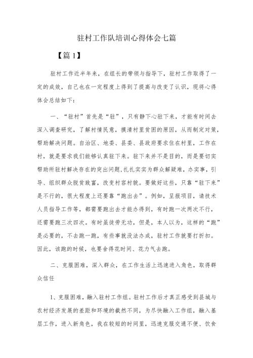 驻村工作队培训心得体会七篇.docx