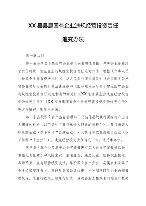 XX县县属国有企业违规经营投资责任追究办法.docx