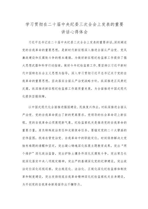 学习贯彻在二十中央纪委三次全会上发表的重要讲话心得体会.docx