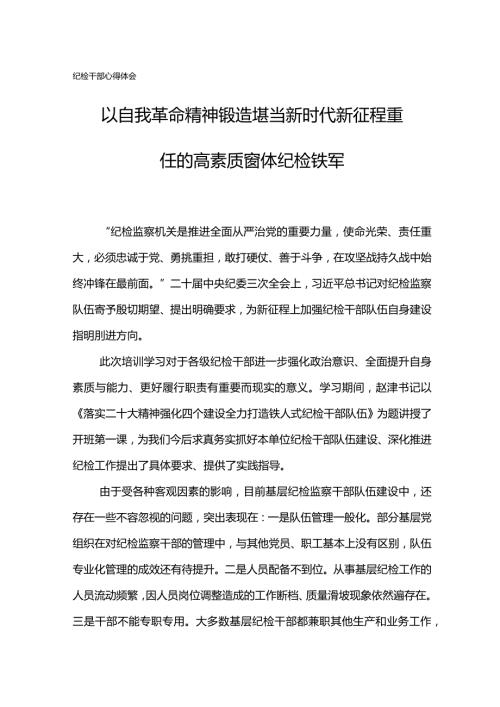 纪检干部心得体会：以自我革命精神锻造堪当新时代新征程重任的高素质窗体纪检铁军.docx