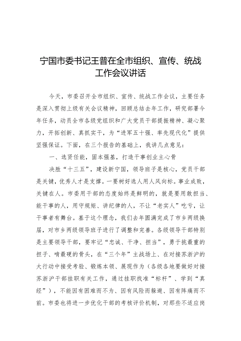 宁国市委书记王普在全市组织、宣传、统战工作会议讲话(1).docx_第1页