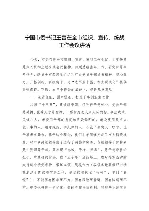 宁国市委书记王普在全市组织、宣传、统战工作会议讲话(1).docx