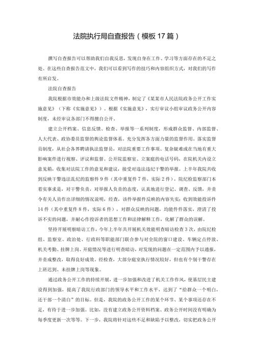 法院执行局自查报告（模板17篇）.docx