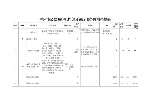 郴州市公立医疗机构部分医疗服务价格调整表.docx