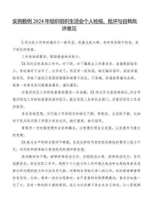 实例数例2024年组织组织生活会个人检视、批评与自我批评意见.docx