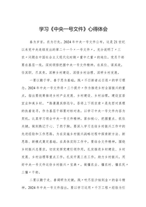 学习2024年《一号文件》心得体会.docx