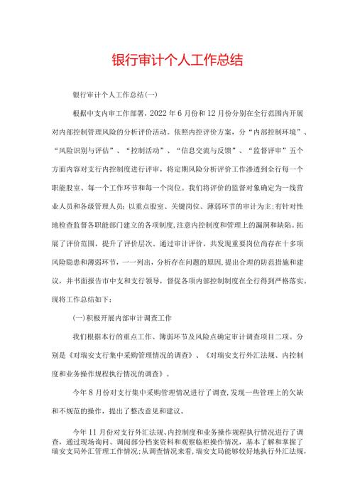 银行审计个人工作总结.docx