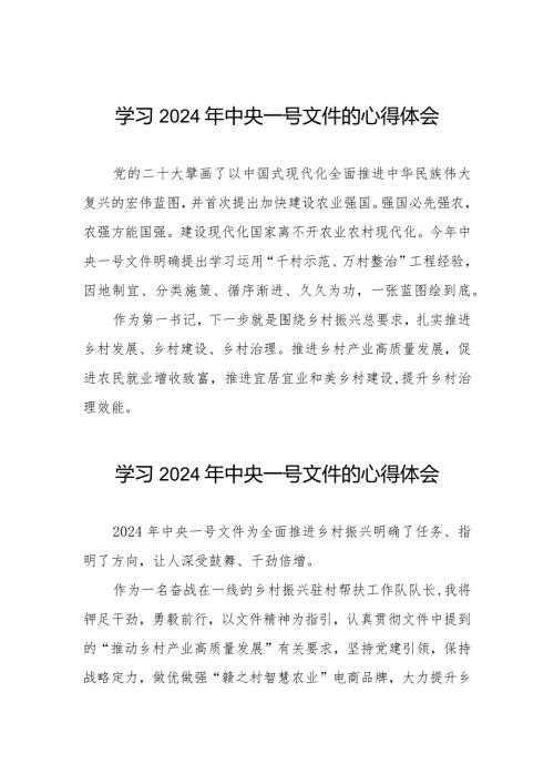 学习2024年中央一号文件心得体会十四篇.docx