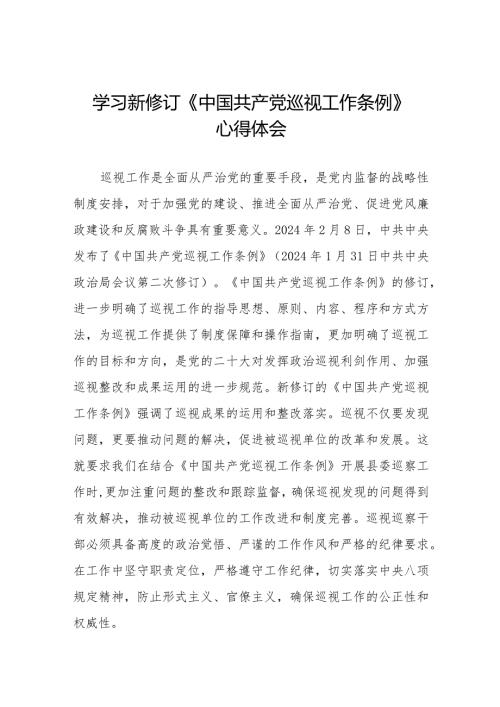 巡察干部学习2024新版中国共产党巡视工作条例的心得体会11篇.docx